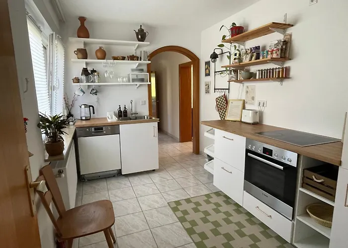 Gruene Nest * 内卡尔斯泰纳